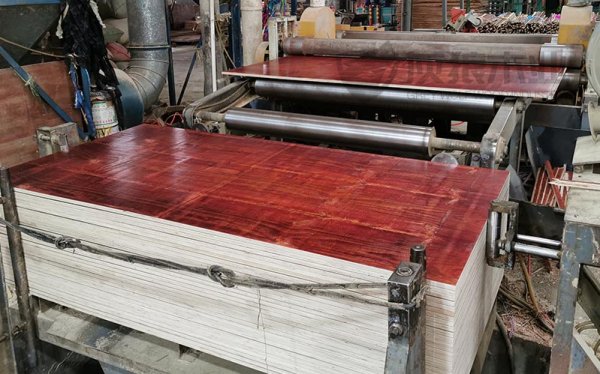 灰狼木业建筑木模板品质保障